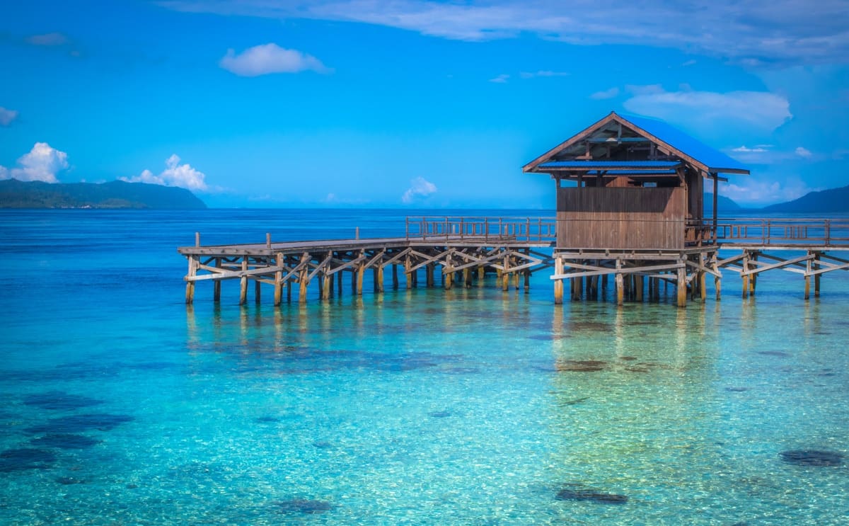 Arborek | Calico Jack