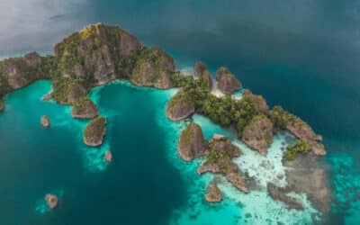 Fun & Interesting Facts About Raja Ampat