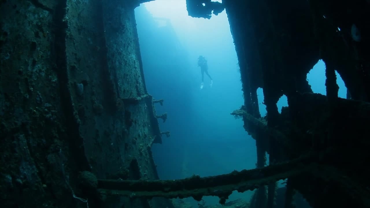 Wreck Diving Cenderawasih bay | Calico Jack