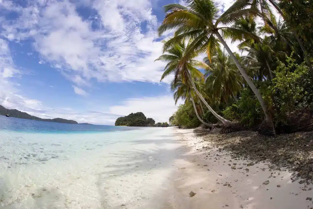 raja ampat beach