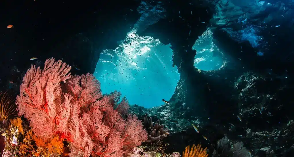 boo window raja ampat