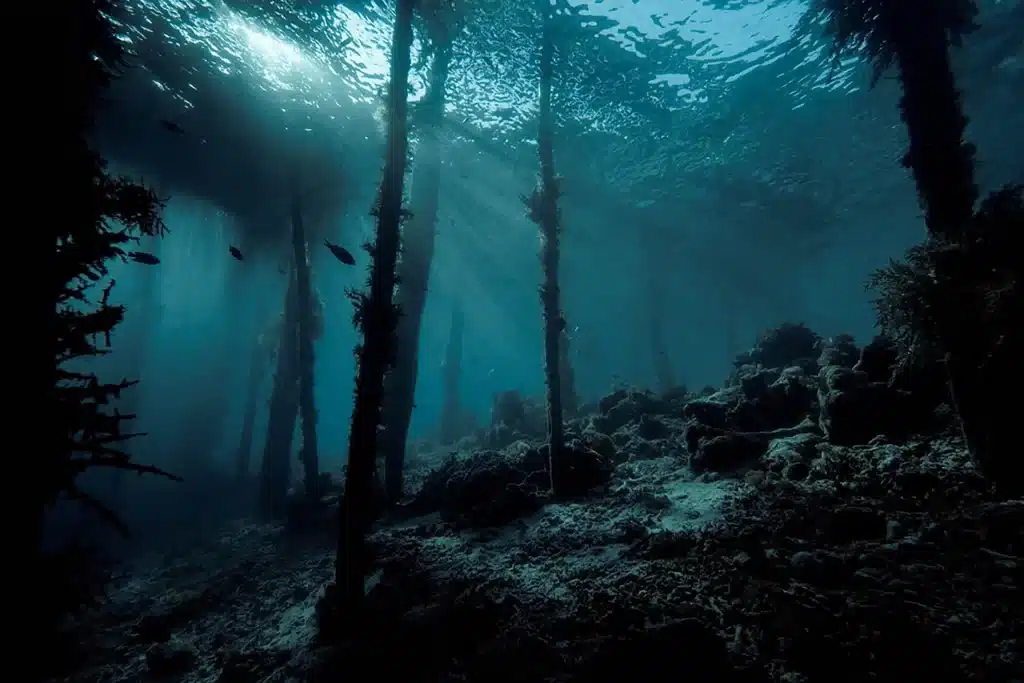 shipwreck raja ampat
