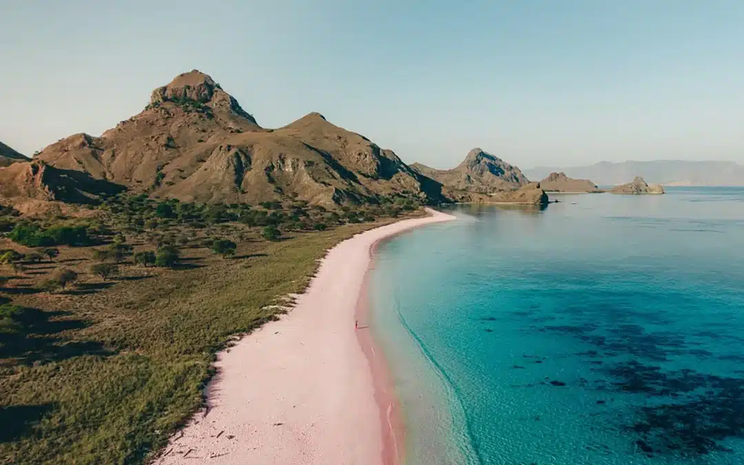 Komodo Adventures for Non-Divers