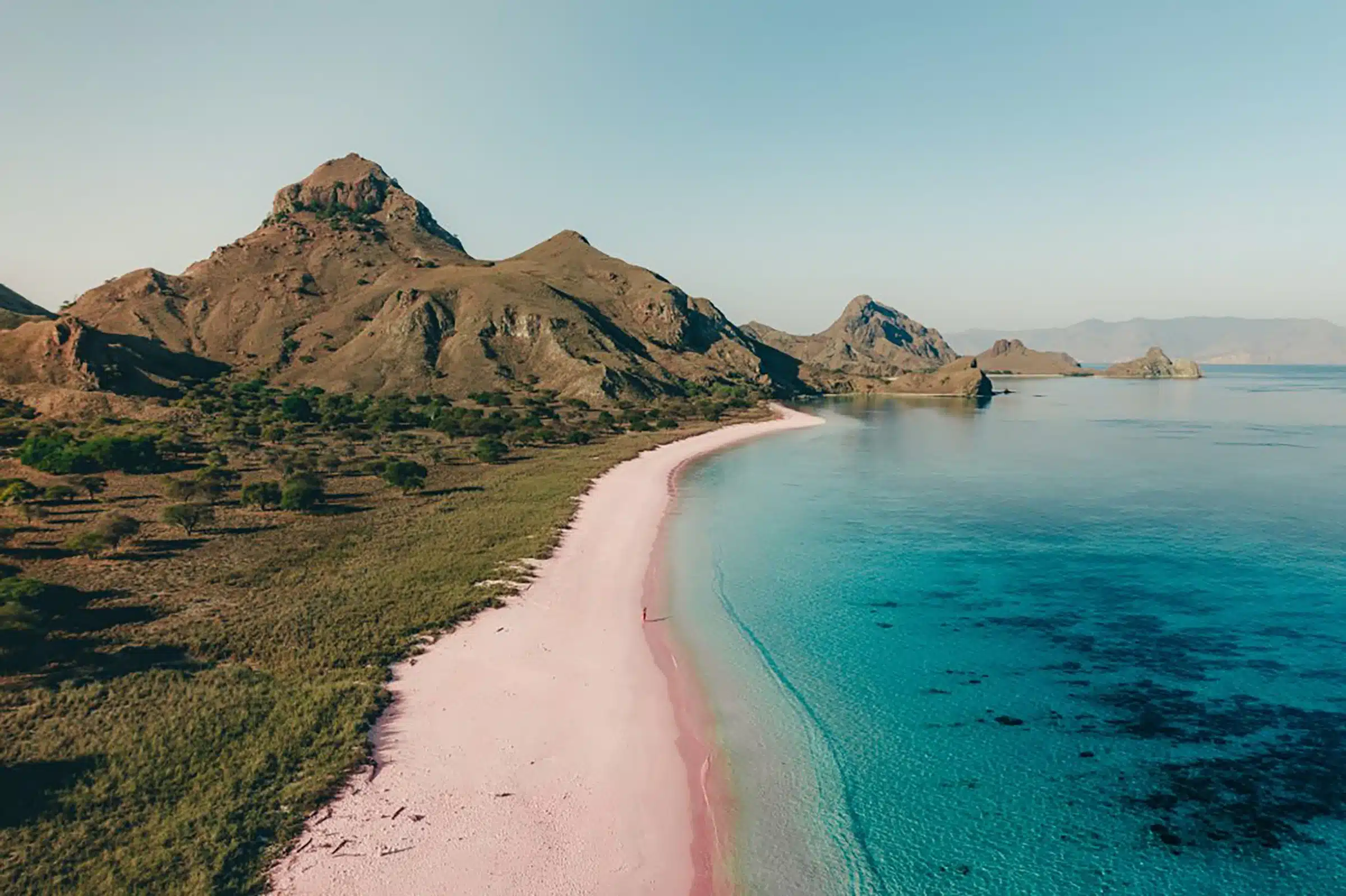 pink beach komodo national park
