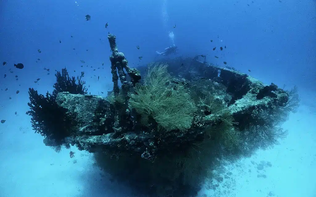 Cenderawasih Bay Liveaboard