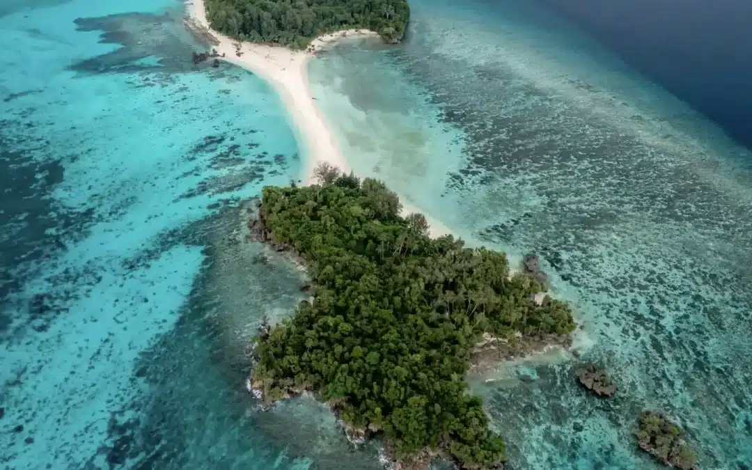Scuba Diving in Cenderawasih Bay: An Underwater Paradise