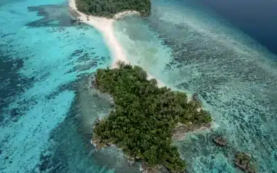 Scuba Diving in Cenderawasih Bay: An Underwater Paradise