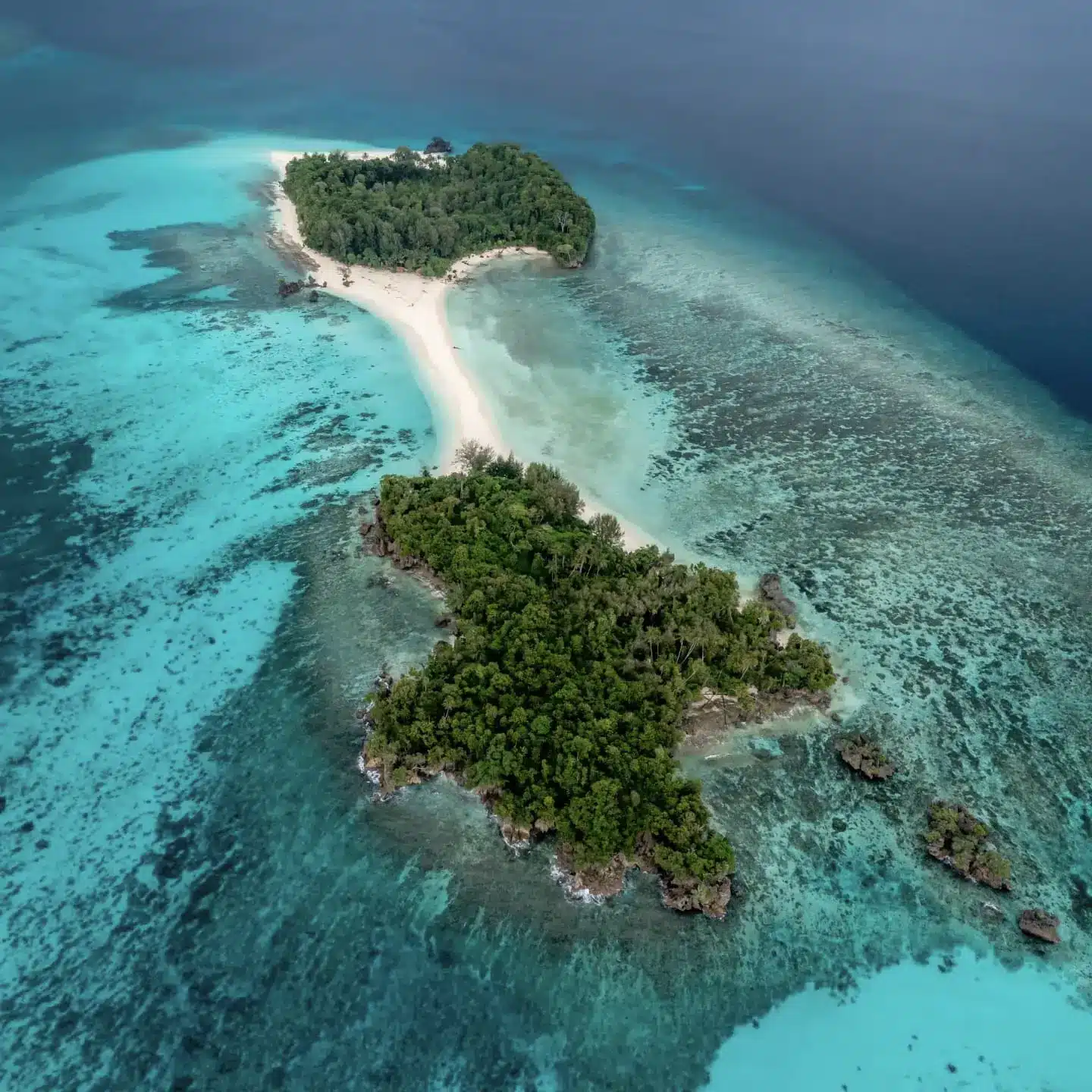 Island of Chenderawasih bay