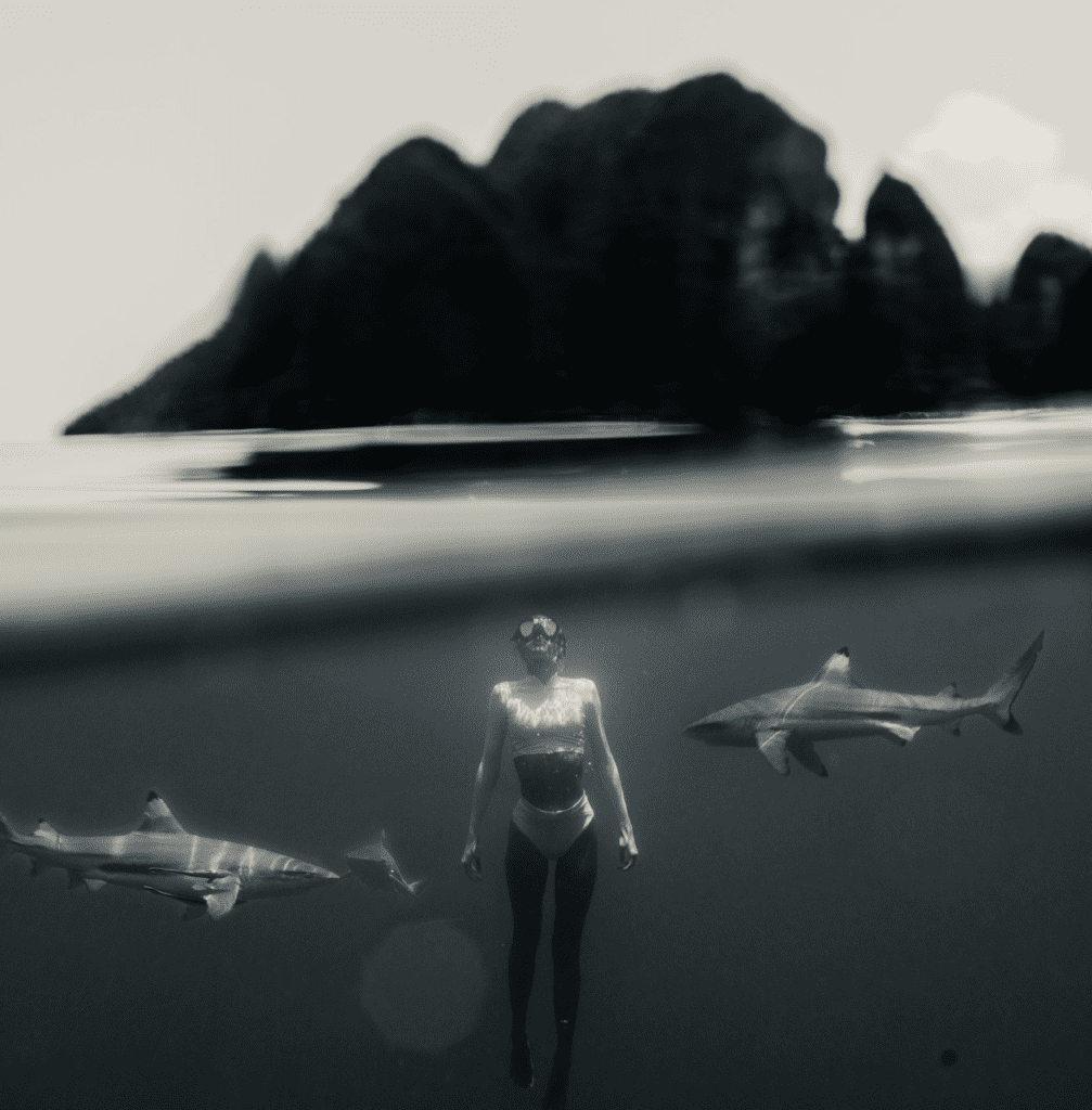 Diving with Black Tips Raja Ampat