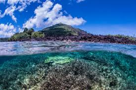 Diving the Banda Sea: An Unforgettable Experience